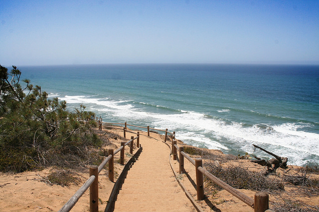 torry pines